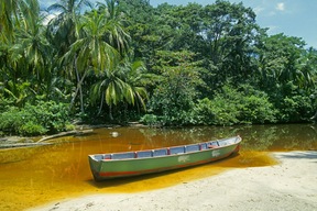 Tortuguero